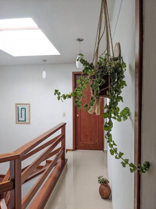 فندق Casa Mua San Cristóbal de Las Casas المظهر الخارجي الصورة
